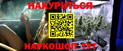 амф Обь