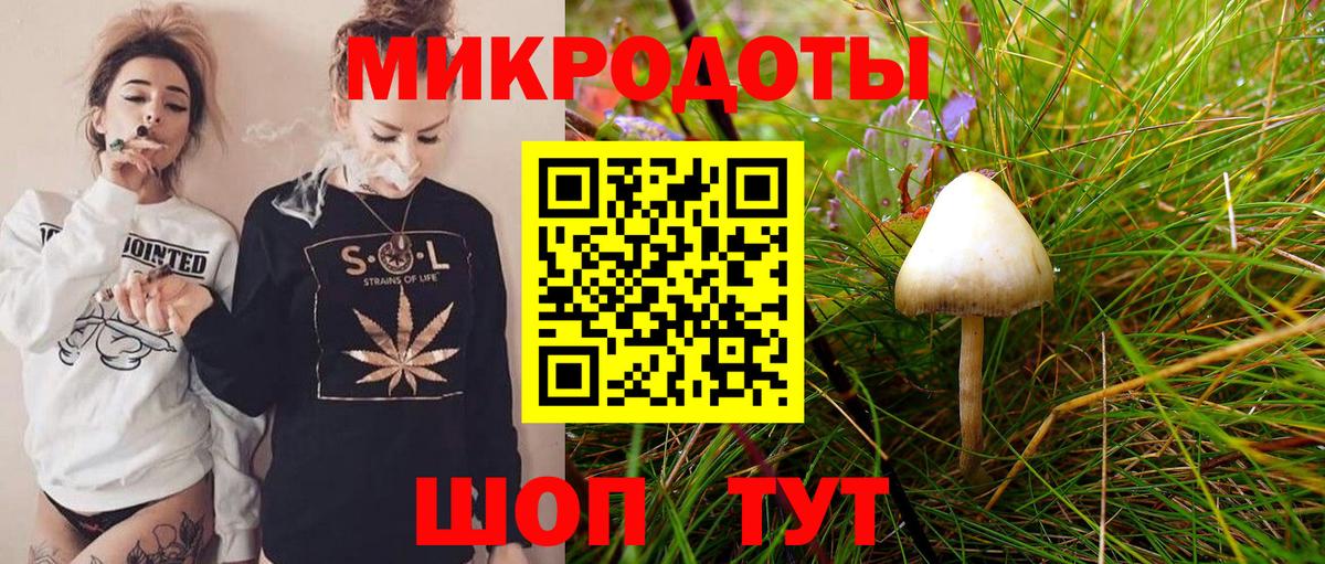 Галлюциногенные грибы Cubensis  Вход с VPN  Соль-Илецк  Псилоцибиновые грибы Psilocybine cubensis 